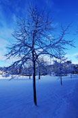 December snow on the North Inch in Perth, Perthshire, Scotland