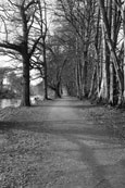 Lady Mary's Walk at Crieff, Perthshire, Scotland