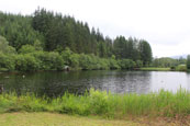 Part of the chain that Forms Loch Ard at Milton near Aberfoyle in The Trossachs, Scotland