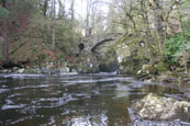 The River Braan at The Hermitage, Dunkeld, Perthshire, Scotland