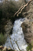 The waterfalls known as the Reekie Linn, River Isla, Angus, Scotland