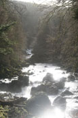 The River Braan as it winds its way through the forest at The Hermitage, Dunkeld, Perthshire, Scotland