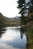 The River Tay north of Dunkeld, Perthshire, Scotland